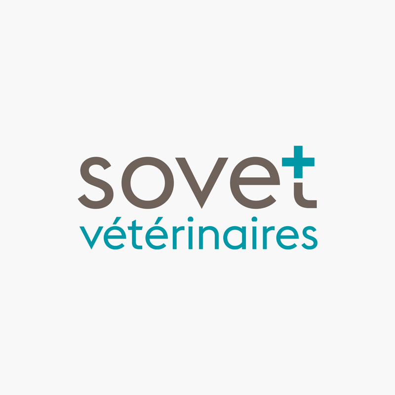 Support Web Sovet